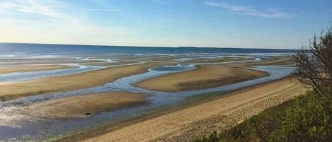 Nær stranden
