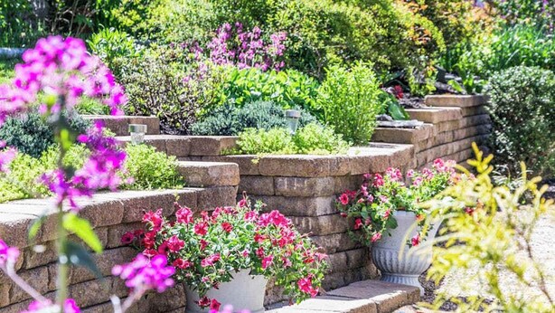 Un giardino con scalini in pietra, piante in vaso e diversi arbusti.