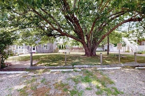 A large tree in front of a building with a bench and a sign.