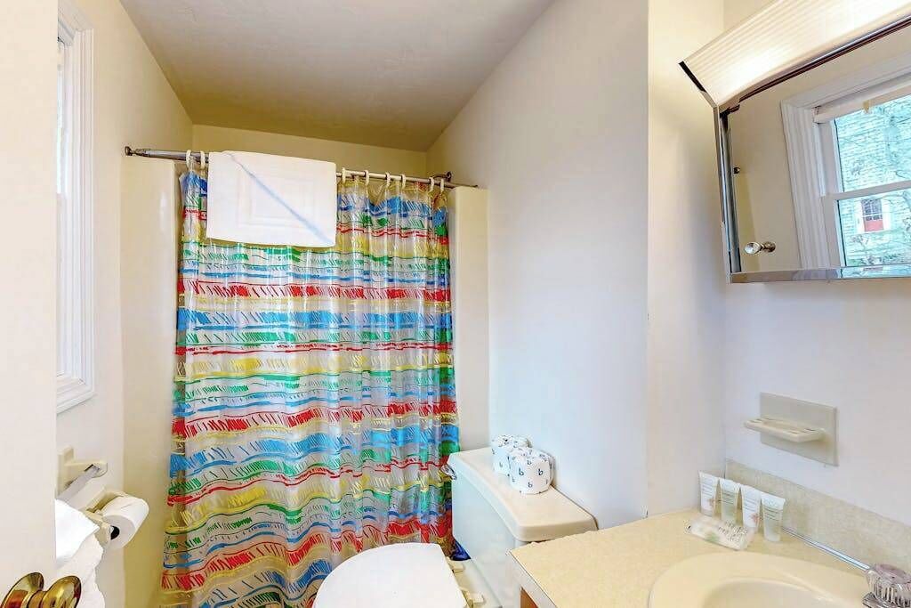 Une salle de bain équipée d’un rideau de douche, de toilettes, d’un lavabo et d’un miroir.