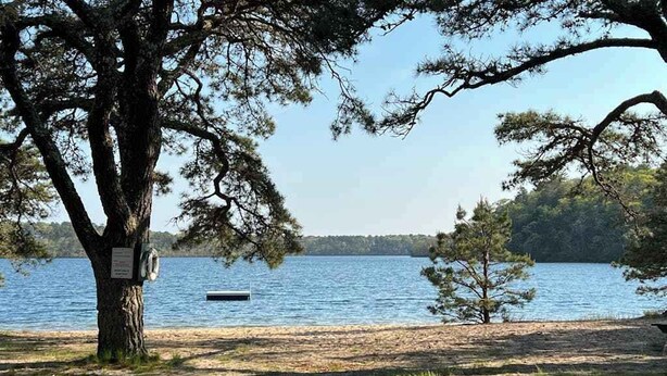 En vacker utsikt över sjön med en brygga, träd och en klar himmel.