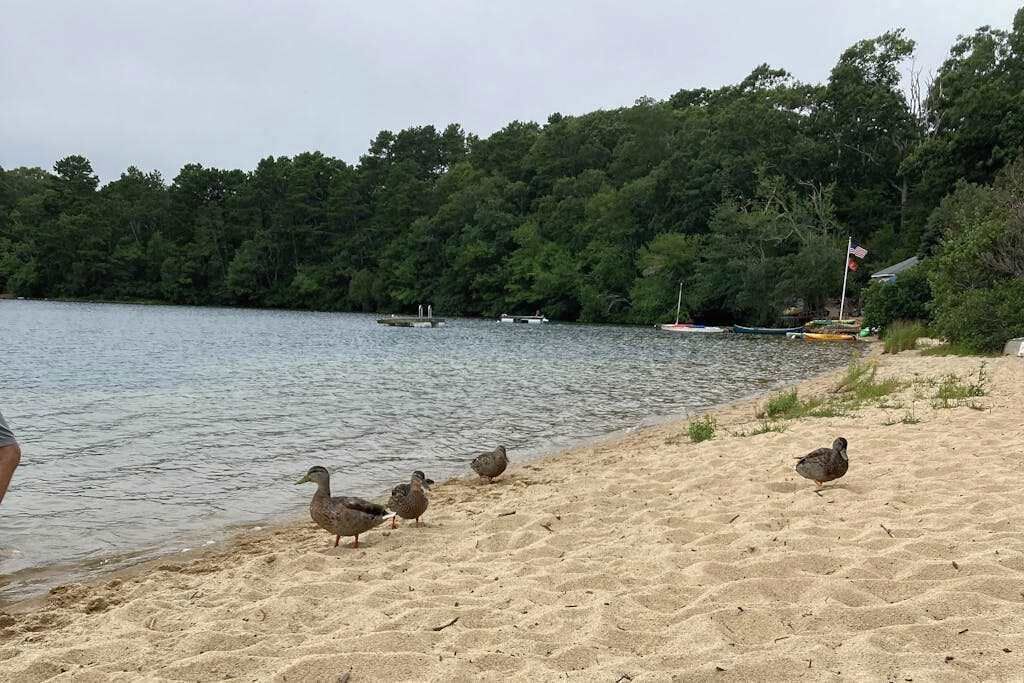 Beach nearby