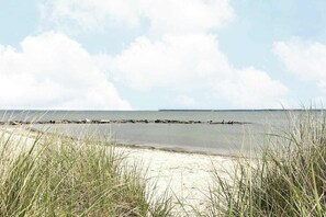 Ein Strand mit Sand, Gras und einem ruhigen Meer unter blauem Himmel.