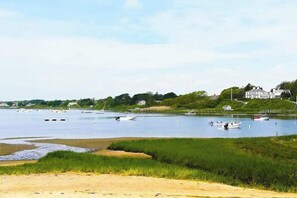 Beach nearby - Sunny, Cape-style home with a game room, yard, firepit, & washer/dryer (Chatham)