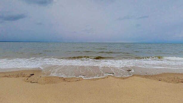 Una spiaggia con onde, cielo sereno e mare calmo.
