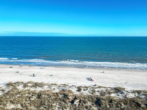 A beach with people and dogs, clear skies, and calm sea. - Sunset Rentals | Island Club 6205 (Hilton Head Island)