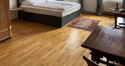 Charming Apartment in Krems Old Town