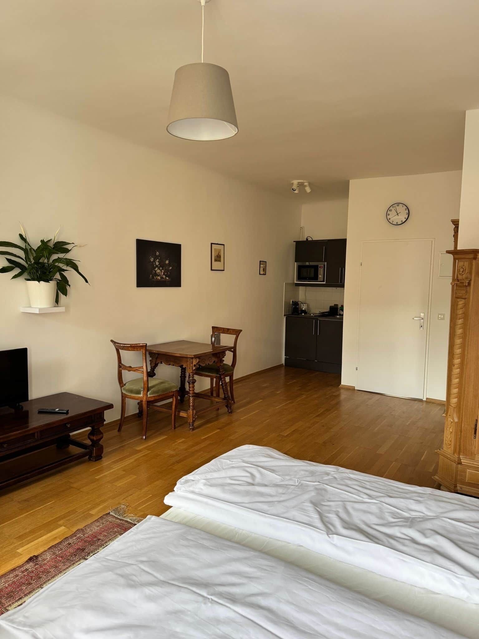 A room with a bed, a dining table with chairs, a TV, a potted plant, and a microwave in the background.