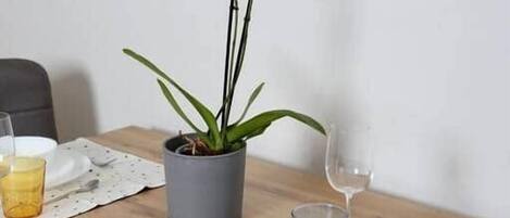 A dining table with a potted orchid, a glass of water, and a plate set for a meal.