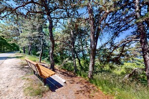 Property grounds - Private house near Long Pond and trails with kayaks, bikes, W/D, and AC (Harwich)
