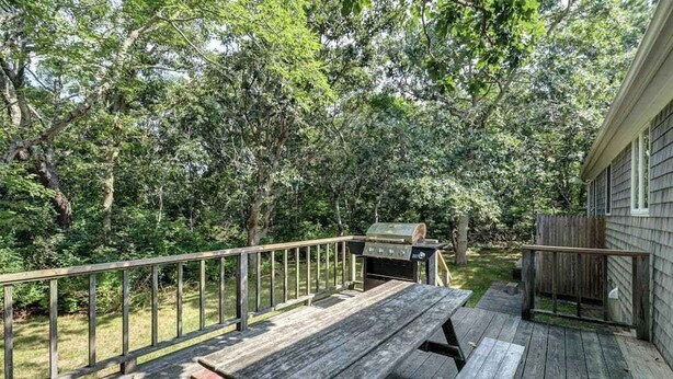 Een houten terras met picknicktafels en een barbecue, omgeven door bomen.