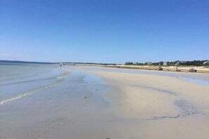 A beach with clear skies, calm water, and distant buildings. - Beautiful bright home with firepit, deck & backyard - walk to beach (Falmouth)