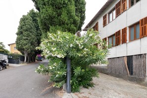 Eine Wohnstraße mit Baumallee, einem parkenden Motorrad und einem Gebäude mit Holzklappläden.