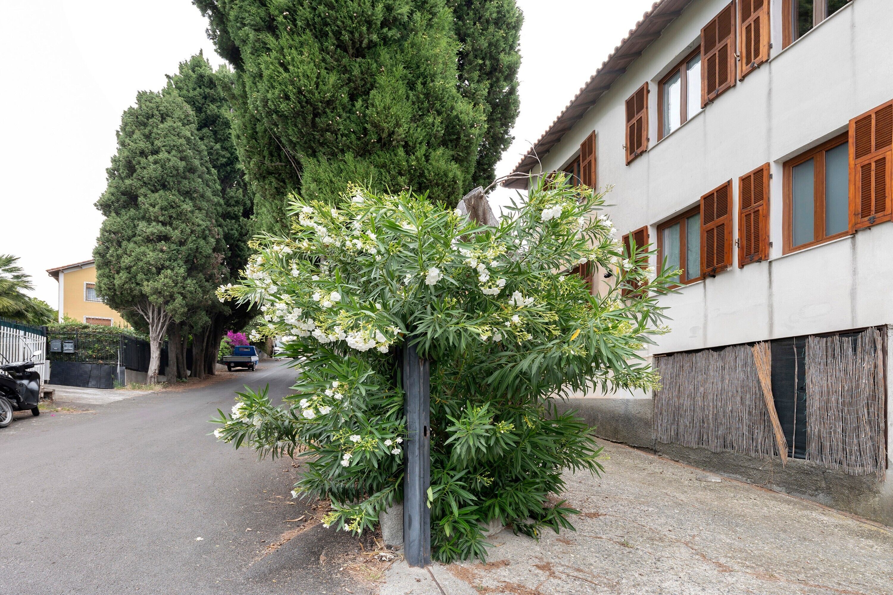Unterkunftsgelände
