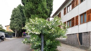 Eine Wohnstraße mit Baumallee, einem parkenden Motorrad und einem Gebäude mit Holzklappläden.