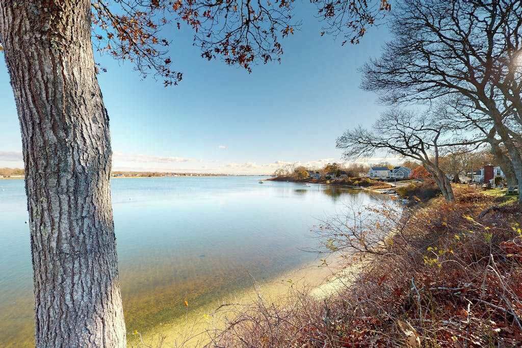 A calm lake with a tree trunk in the foreground, a clear sky, and a distant shoreline with houses.