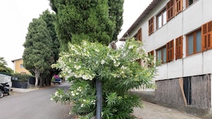 Una strada residenziale con marciapiedi alberati, una motocicletta parcheggiata e un edificio con persiane di legno.