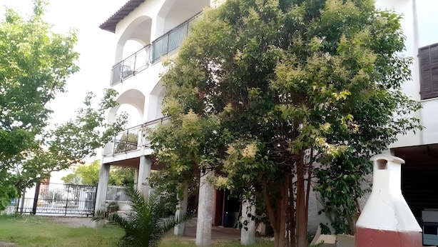 Un edificio con facciata bianca, diversi balconi e un grande albero nel cortile.