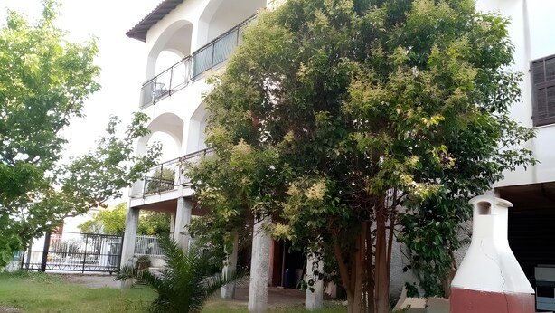 Un edificio con facciata bianca, diversi balconi e un grande albero nel cortile.