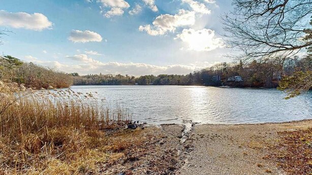 Un lago con un sentiero sterrato che conduce all'acqua, circondato da alberi e cielo sereno.