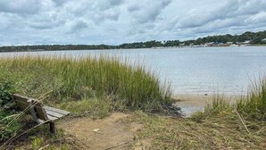 Vistes al llac amb una banca, zona verda i edificis al lluny.