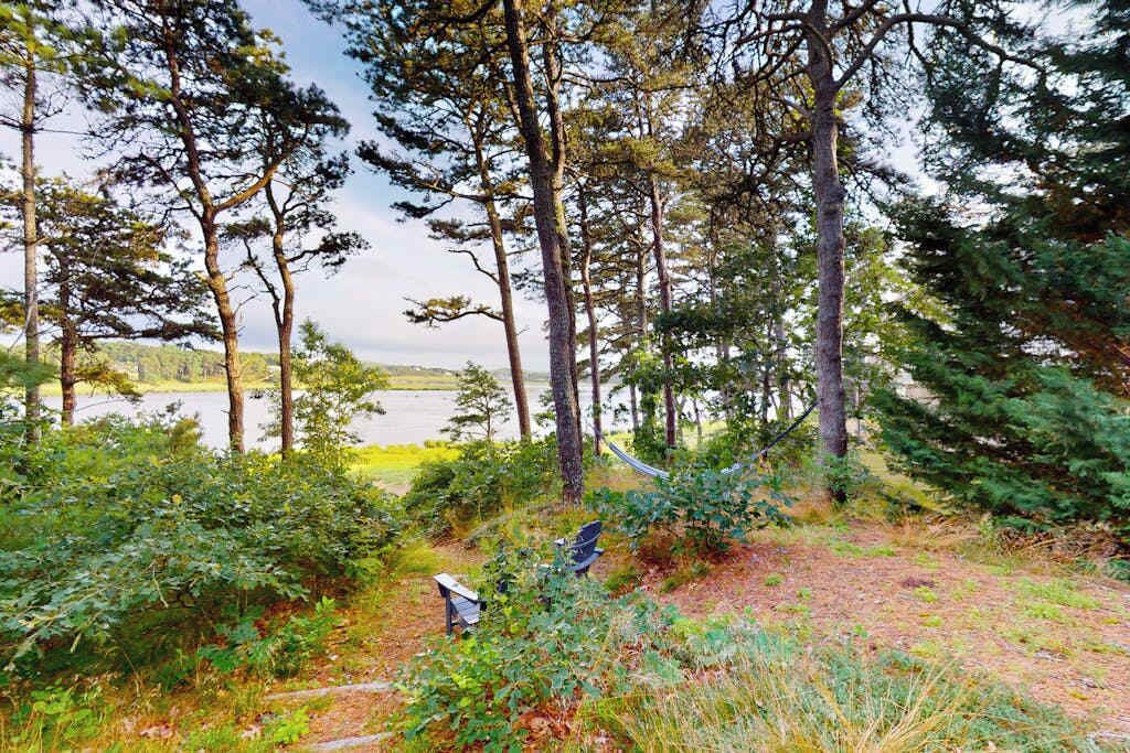 A natural landscape with trees and a body of water.