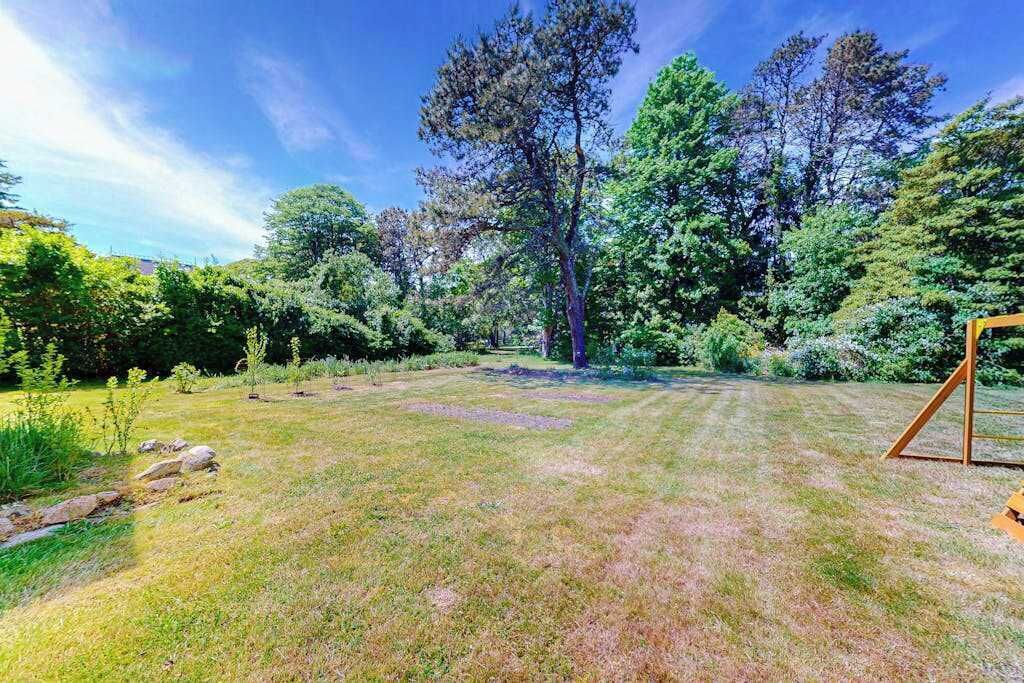Un espace extérieur verdoyant, avec des arbres et une structure en bois.