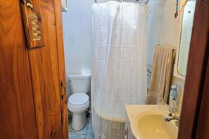 Chuveiro, secador de cabelo, toalhas de banho 