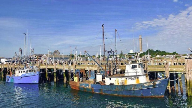 A harbor with boats docked at wooden piers, a clear sky, and a distant building. - Heart of Provincetown Penthouse - perfect location...walk to everything! (Provincetown)