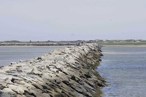 Miscellaneous - Heart of Provincetown Condo-prime location to shops, beach, dining  & nightlife (Provincetown)