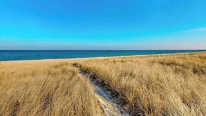 En strand med torrt gräs och en klar himmel.