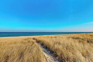 A beach with dry grass and a clear sky. - Dog-friendly bay view cottage with a furnished porch, washer/dryer, & roof deck (Sandwich)