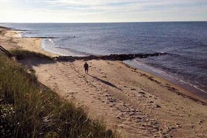 Nära stranden