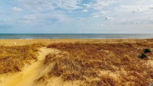 Ein Strand mit Dünen und blauem Himmel.
