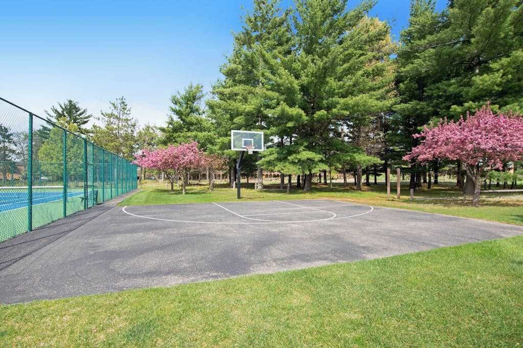 An outdoor basketball court with a net, surrounded by trees and a fence.