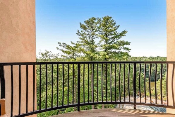 Property grounds - Riverside resort condo with on-site golf, dining (Wisconsin Dells)
