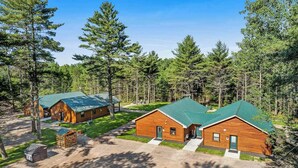A cabin-style lodging with a green roof, surrounded by a forest. - Contemporary dog-friendly cabins with hot tub, fireplaces, patios, & game room (Conover)