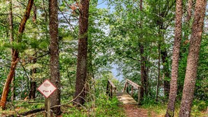 Une zone boisée avec un pont en bois portant l’inscription « Quai 1 » qui mène à une jetée.