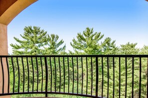 Property grounds - Exciting condo with fireplace, hot tub, & central AC (Wisconsin Dells)