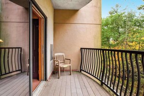 Terrace/patio - Comfortable 2nd-floor studio with balcony (Wisconsin Dells)