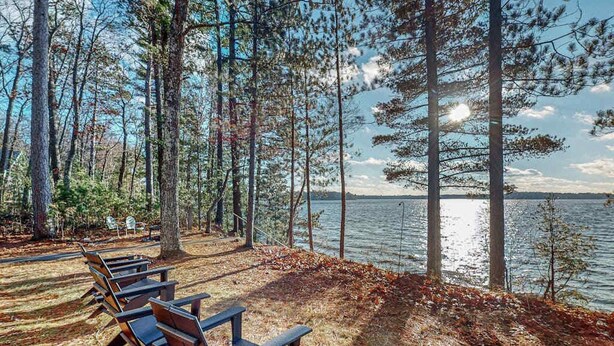 Un parc au bord du lac, doté de bancs et de grands arbres.