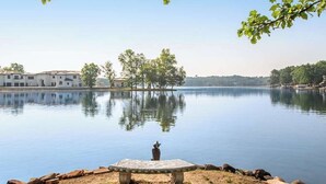 Ein ruhiger See mit einer Bank, Bäumen und Gebäuden im Hintergrund.