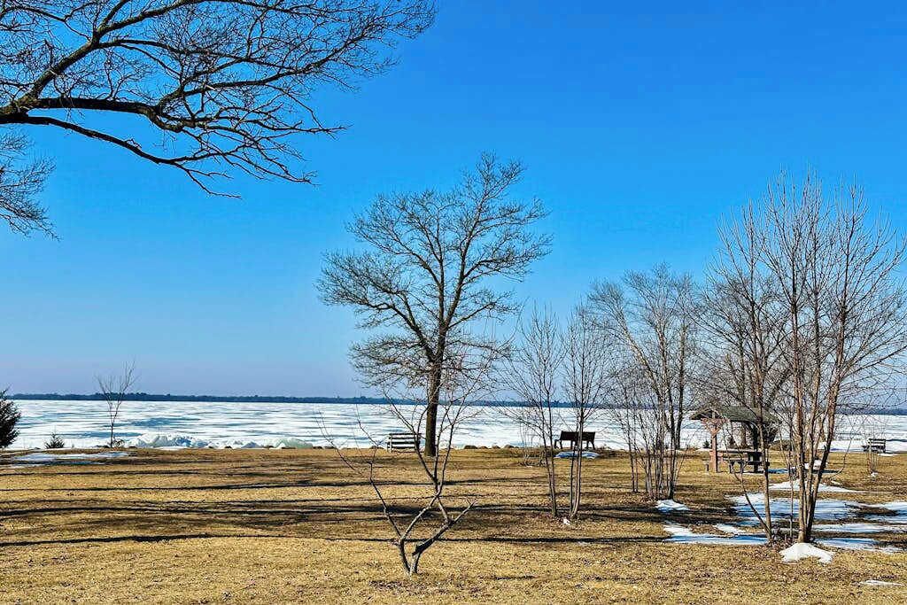 A park with trees, a bench, and a view of a body of water.