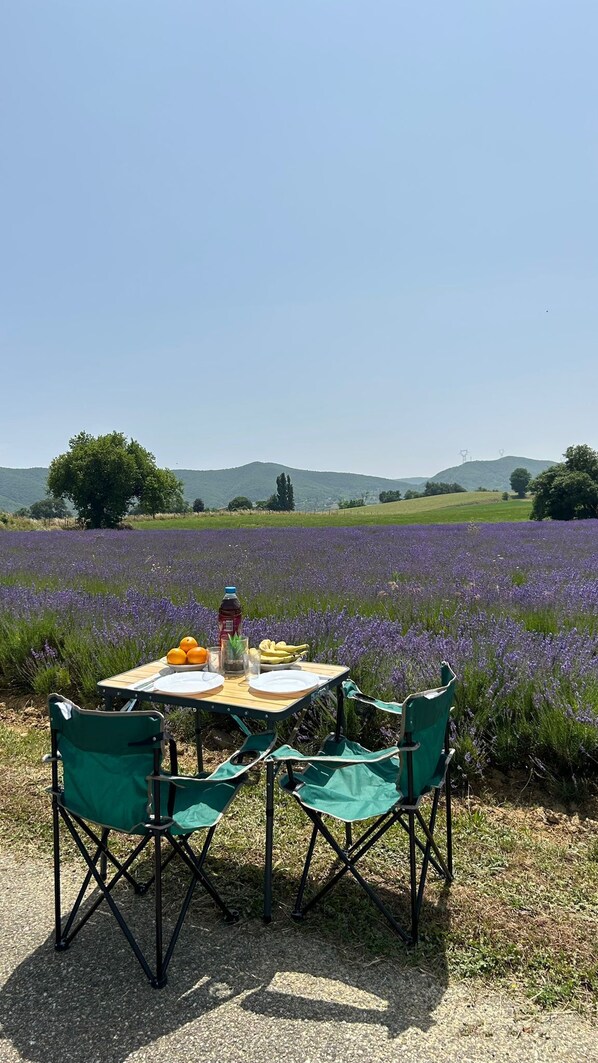 A table with two chairs set in a field of purple flowers, with a clear sky and distant hills in the background.