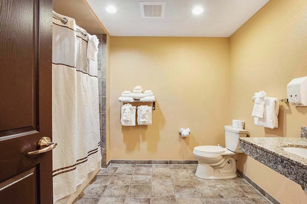 A bathroom with a toilet, sink, and shower curtain.