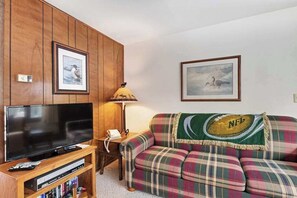 Fernseher, Kamin, DVD-Player, Arbeitsbereiche
