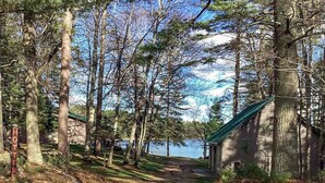 Una cabaña con un sendero de tierra que la lleva a ella, rodeada de árboles y un lago.