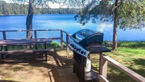 Una parrilla, una mesa de picnic y vistas a un lago.