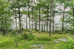 Metsäinen alue, jossa on järvi, puiset portaat ja lintujen ruokintapaikka.