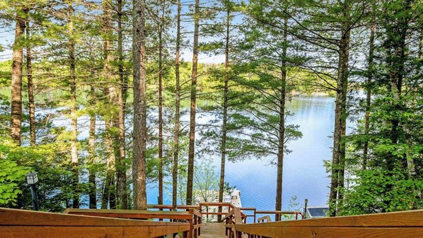 Un puente de madera que lleva a un lago rodeado de altos árboles.